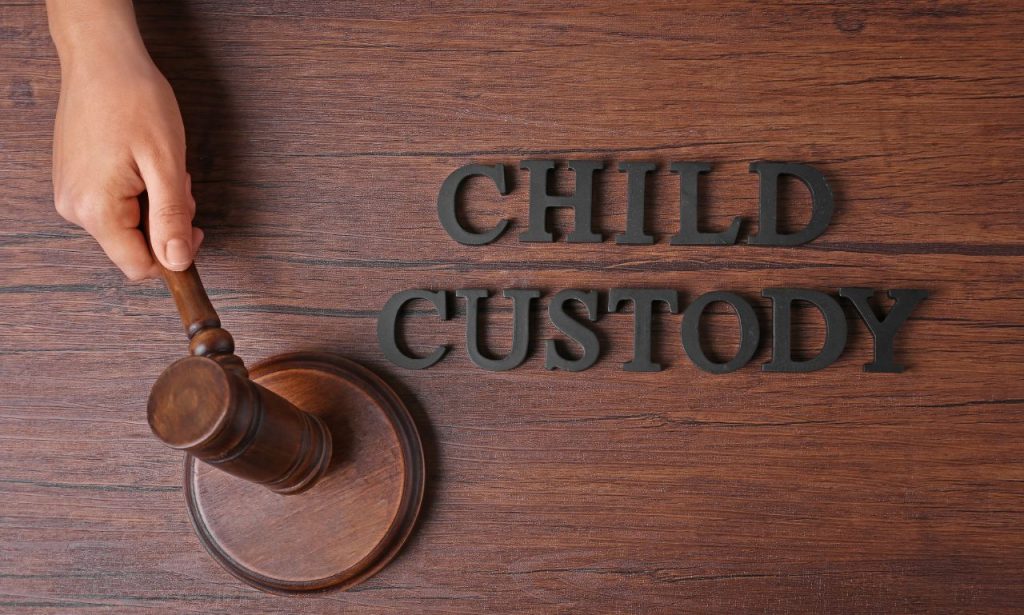 can you appeal a custody decision