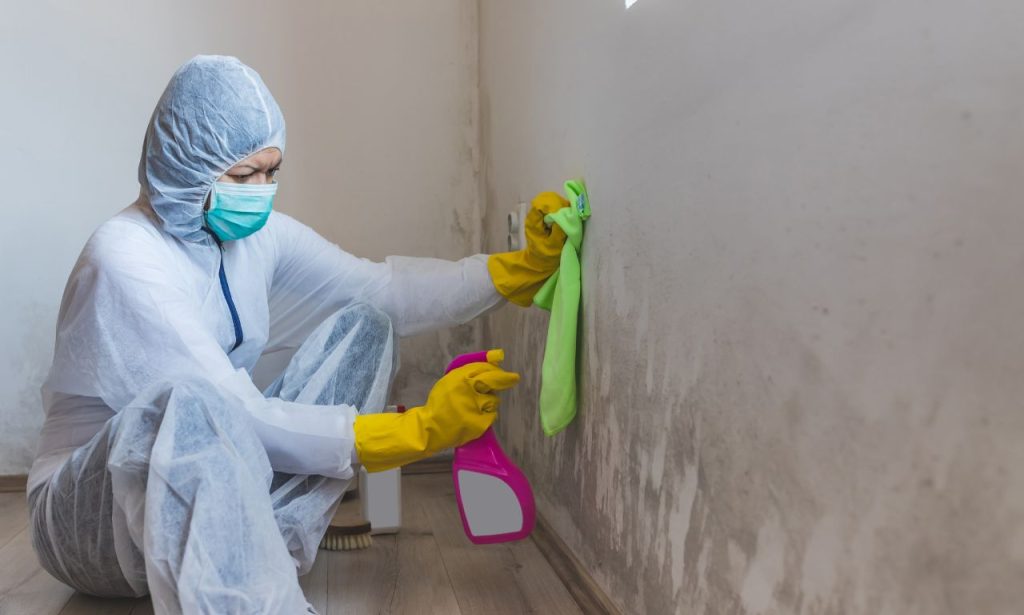 how to clean orange mold in shower