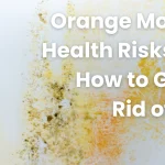 how to clean orange mold in shower