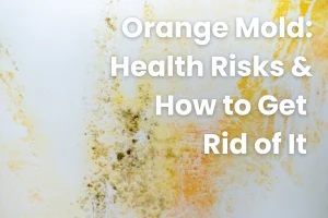 how to clean orange mold in shower